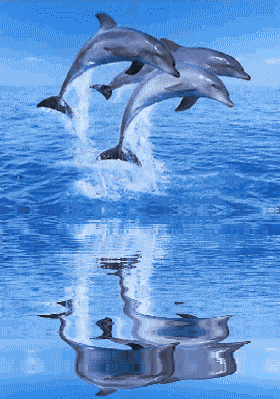 ������ �� ����� �� ��   ��