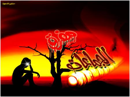 ���� ����